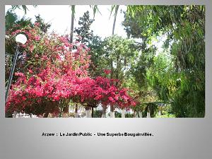 2eme Partie Oranie  Arzew-Fontaine des Gazelles (22)